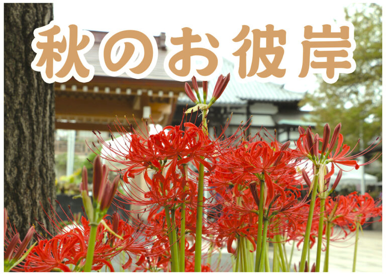 お知らせ 圓勝院公式サイト